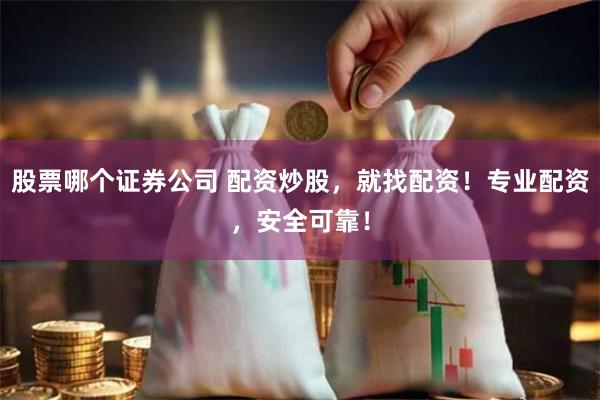 股票哪个证券公司 配资炒股，就找配资！专业配资，安全可靠！